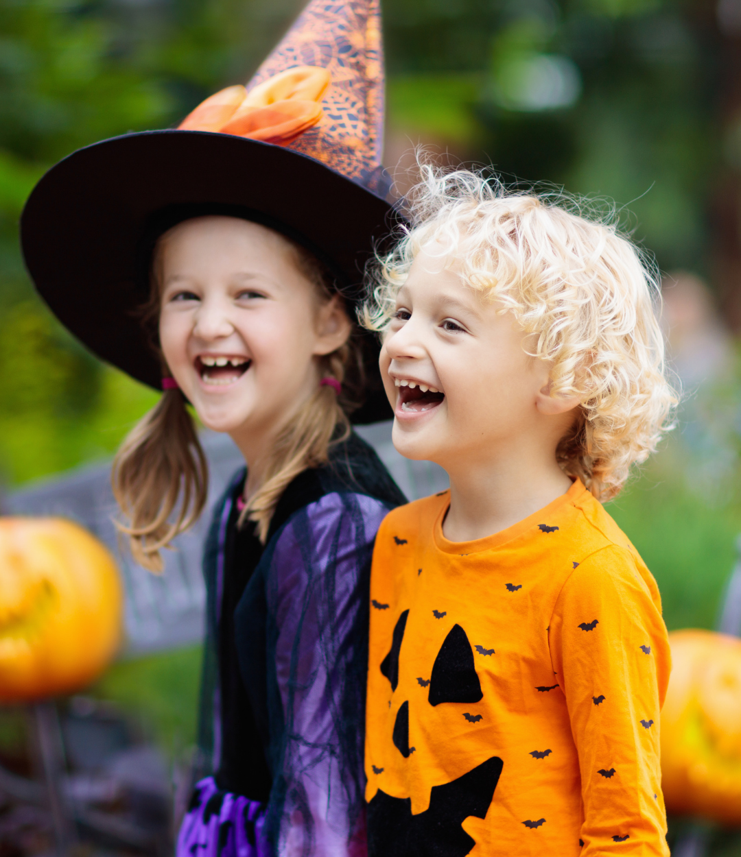 Fall Festival