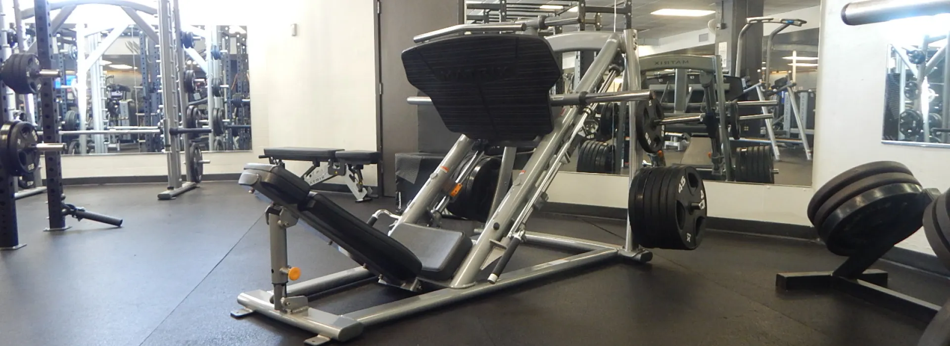 leg press